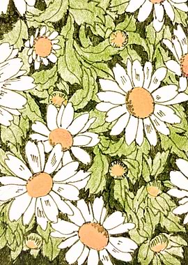 Hand-Drawn Daisy Flower Pattern