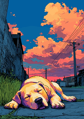 Sleeping Dog Under Sunset Sky