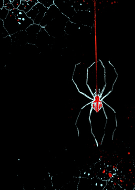 Minimalist Spider with Red Accents