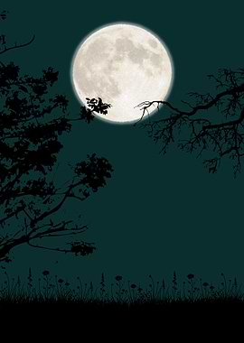 Full Moon Over Silent Fields