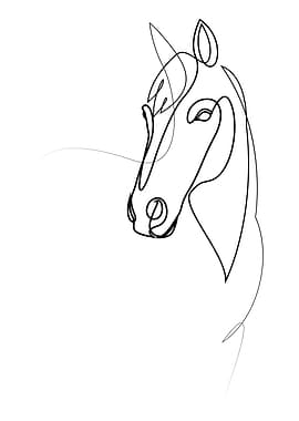 Fiducia - Minimalist Single Line Horse Drawing