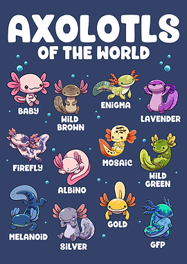 Axolotls of the World