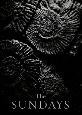 The Sundays Ammonite Fossil Poster