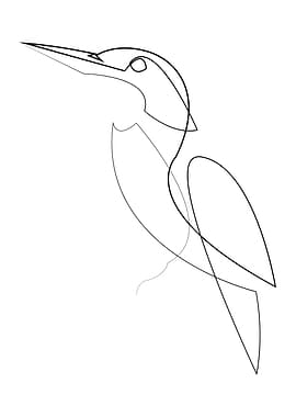 Kingfisher - Minimalist Single Line Bird Drawing