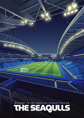 American Express Stadium Seagulls