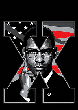 Malcolm X Pop Art Portrait