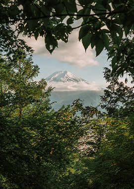 Mount Fuji Framed by Lush Trees