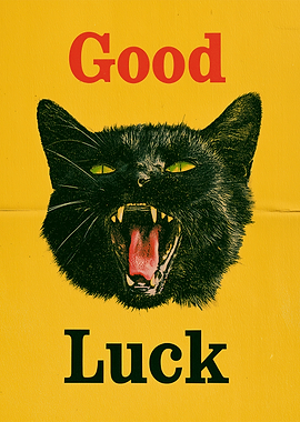 Good Luck Black Cat Poster