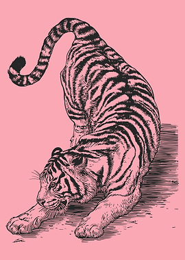 Stretching Tiger Line Art Illustration