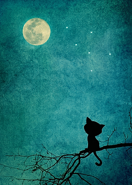 Cat Silhouette Under Full Moon