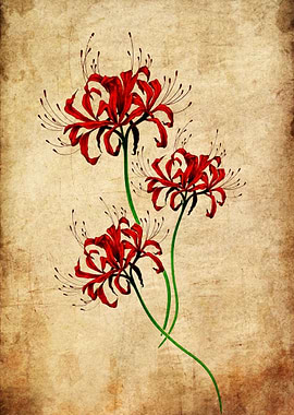 Vintage Style Red Spider Lily Illustration