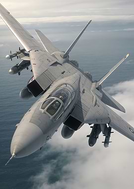 F-14 Tomcat in Flight, Naval Legend