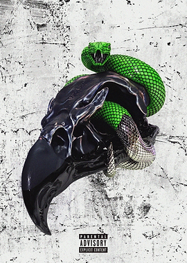 Green Snake Coiled Around Raven Skull