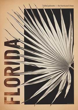 Vintage Florida Sabal Palmetto Poster