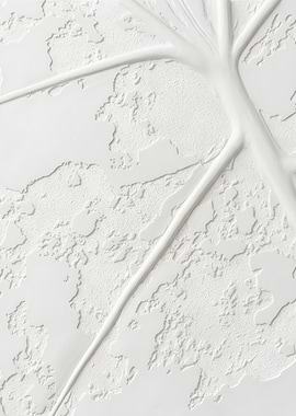 Alocasia Frydek Variegata – Minimalist Gypsum Leaf Art