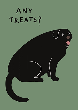 Funny Black Labrador Asking For Treats