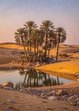 Desert Oasis with Palm Trees