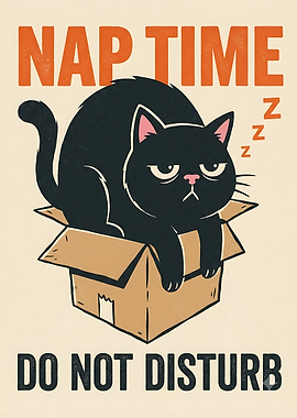 Nap Time Do Not Disturb Cat