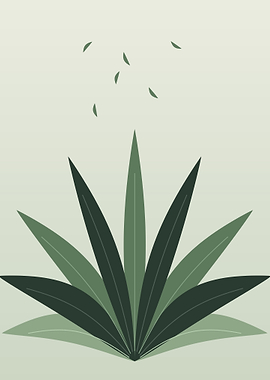 Sage Agave - Minimalist Botanical Plant Wall Art