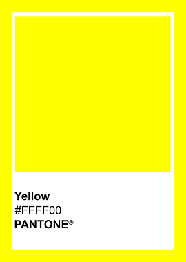 Pantone Yellow Color Swatch