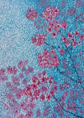 Pink Cherry Blossoms on Blue Background