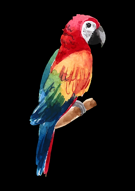 Watercolor Macaw Parrot Illustration