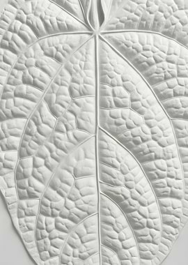 Anthurium Luxurians – Minimalist Gypsum Leaf Art