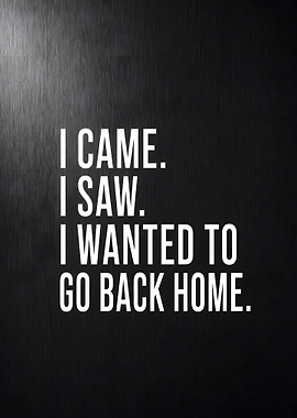 I Came I Saw I Wanted To Go Back Home