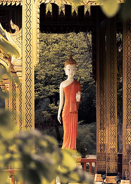 Majestic Statue of Buddha within Gold