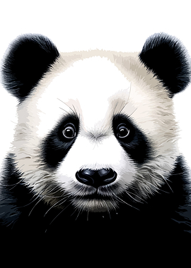 Close-up Portrait of a Giant Panda