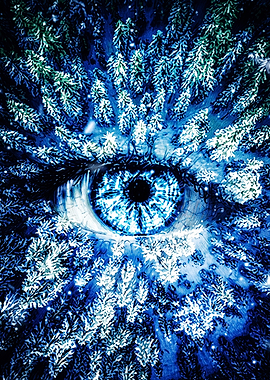 Surreal Eye Formed by Winter Forest
