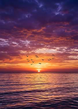 Birds Flying Over Sunset Ocean