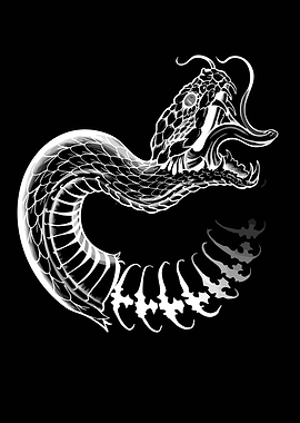Stylized Black and White Snake Illustration