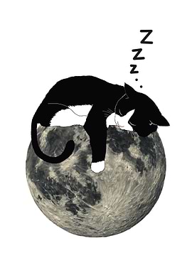 Black and White Cat Sleeping on Moon