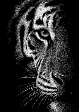 Detailed black and white tiger dotwork portrait