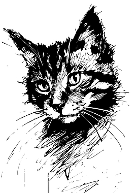 Black and White Ink Cat Portrait