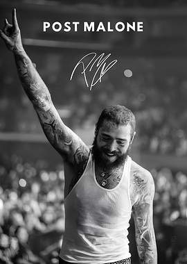 Post Malone Concert Performance Poster