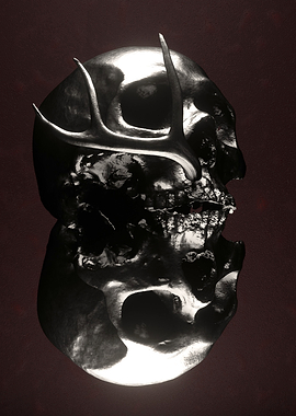 BarberSkull