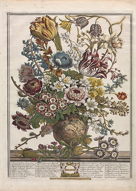 Vintage Botanical Illustration of March Flowers Bouquet