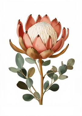 Elegant King Protea Flower Illustration