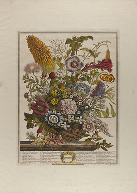 Vintage Botanical August Floral Arrangement Print Bouquet