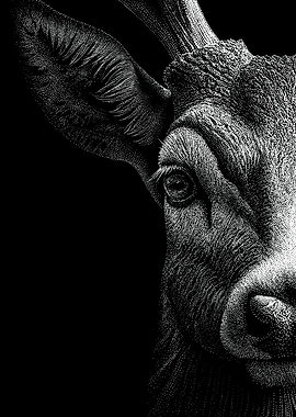 Detailed black and white deer dotwork portrait