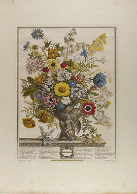 Vintage Botanical Illustration of November Flowers