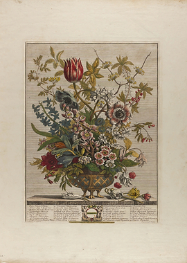 Vintage Botanical Floral Still Life Print February Bouquet
