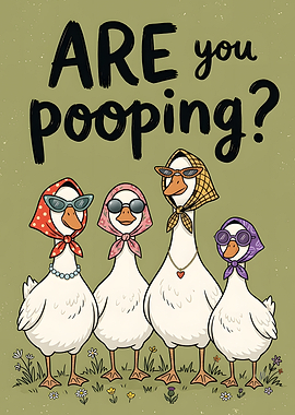 Funny Ducks Wearing Headscarves Poster