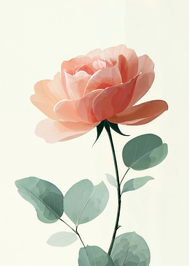Single peach rose flower with green leaves
