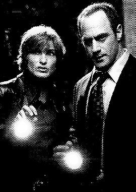 Law and Order SVU Duo Poster