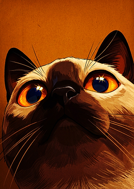 Close-up Portrait of a Siamese Cat