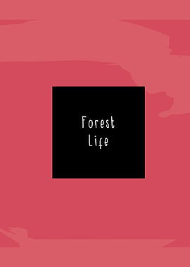 mccafferty forest life