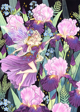 Iris Garden